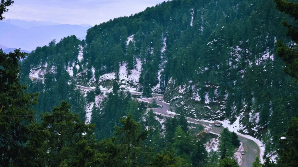 Panoramic view of Kufri Valley with deodar trees and Himalayas, a top Shimla tourist place.