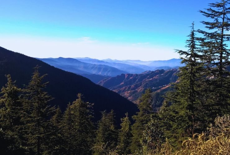 Breathtaking panoramic view of Kufri Valley with Himalayan mountains, pine forests, and clear blue skies near Shimla