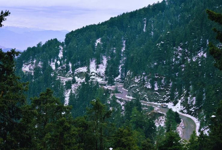 Snowy winding mountain road through pine forests near Kufri, one of the best Shimla tourist places in winter.
